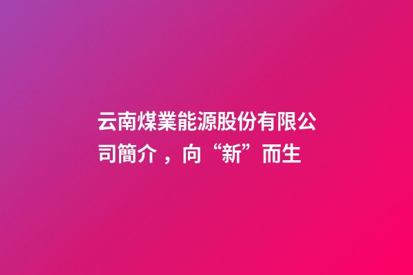 云南煤業能源股份有限公司簡介，向“新”而生